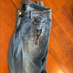 Jeans Lane Bryant distressed